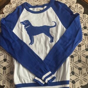 THE BLACK DOG                      Blue and White Dog Sweater
